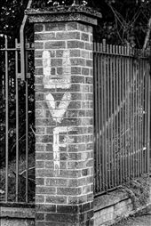 by svmphotography, Views[229]