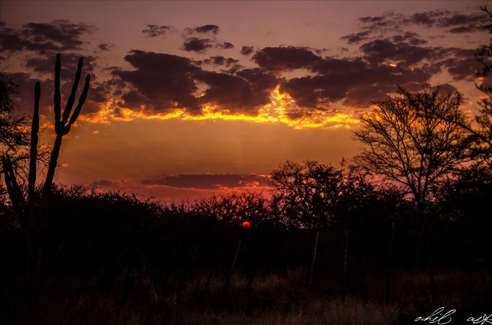 Nothing like an African Sunset