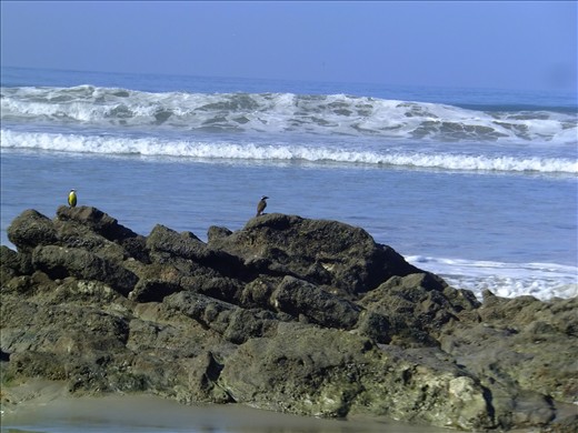 Enjoying the seaview