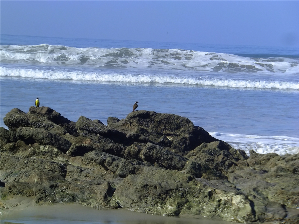 Enjoying the seaview