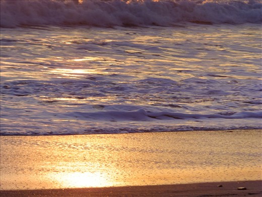 Orange-foamy kissed sand