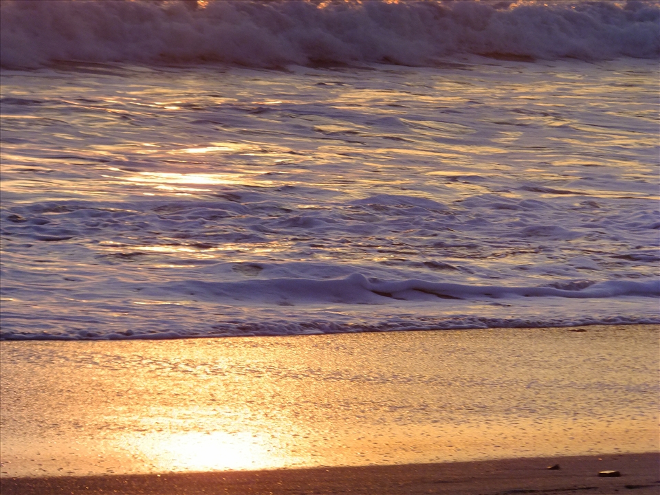 Orange-foamy kissed sand