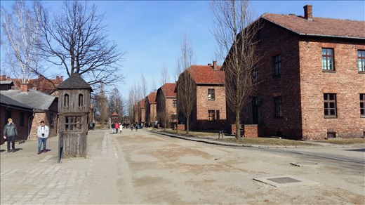 Inside Auschwitz 1