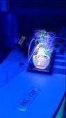 Oxygen Bar: by swathi, Views[486]