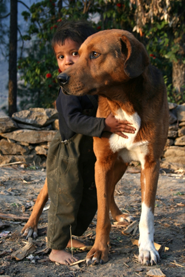 CAPTION: BOY AND THE DOG. LOCATION: DODRA KAWAR, HIMACHAL PRADESH, INDIA. 