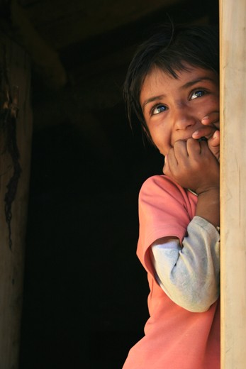 CAPTION: PLAYING PEEK-A-BOO. LOCATION: DODRA KAWAR, HIMACHAL PRADESH, INDIA.