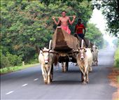 Fishermen returning home after catching fishes: by swati_choudhary, Views[286]