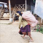 by sweetcheeks03, Views[244]