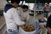Paolo picking out our Italian bagels at the market. Boiled and fried, best of both bagel worlds!: by swinginggirl, Views[421]