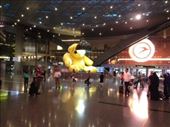 Doha, Qatar airport: by swissmis23, Views[162]