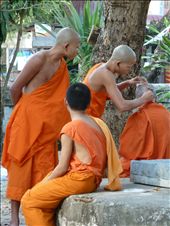 A tuition in head shaving: by sydneylawyer, Views[951]