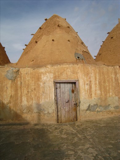 You can think whatever but this is our house.