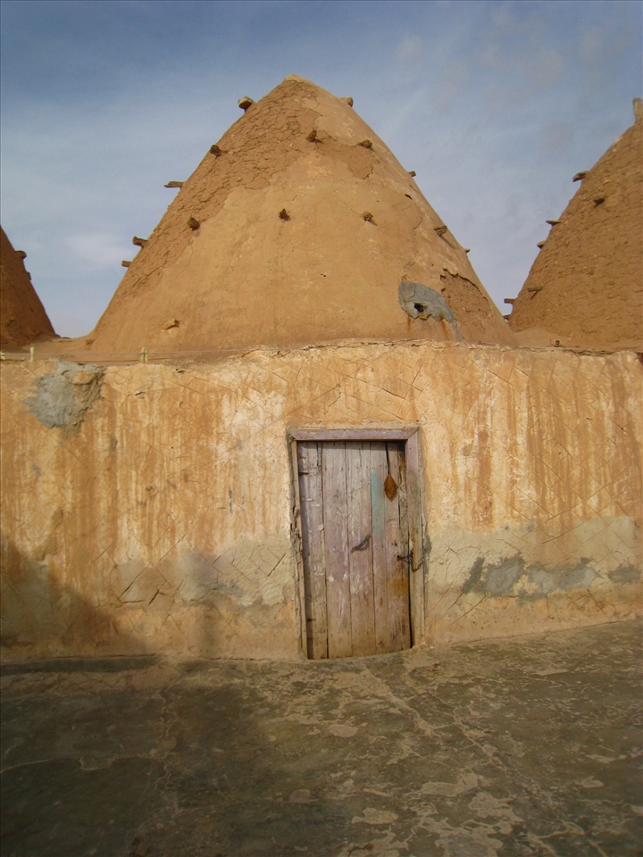 You can think whatever but this is our house.