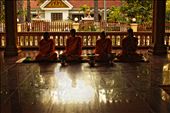 Four monks in meditation at a local temple in Siem Reap: by sys-eye, Views[445]
