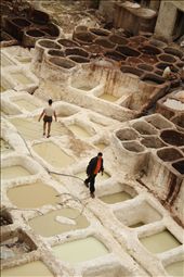 Medina Fez was famous its leather and textiles industry.   : by szymczykeva, Views[368]