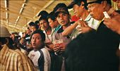 Main Jaran is a once a year event. Thrill seekers from nearby villages crowd the stands, climb the surrounding walls or hang on trees for a peek. Betting occupies the majority, minimum bet for locals is 50,000 rupiah (5$), foreigners must start betting at 200,000. Jockeys' parents are paid 100,000 per race, stable owners make millions.: by t-soul, Views[409]