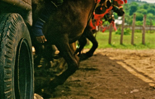 Rain or sun the horses today shall run; 
bareback riding, some jockeys fall, stronger ones hold on and the lucky ones make it first to the finish line.