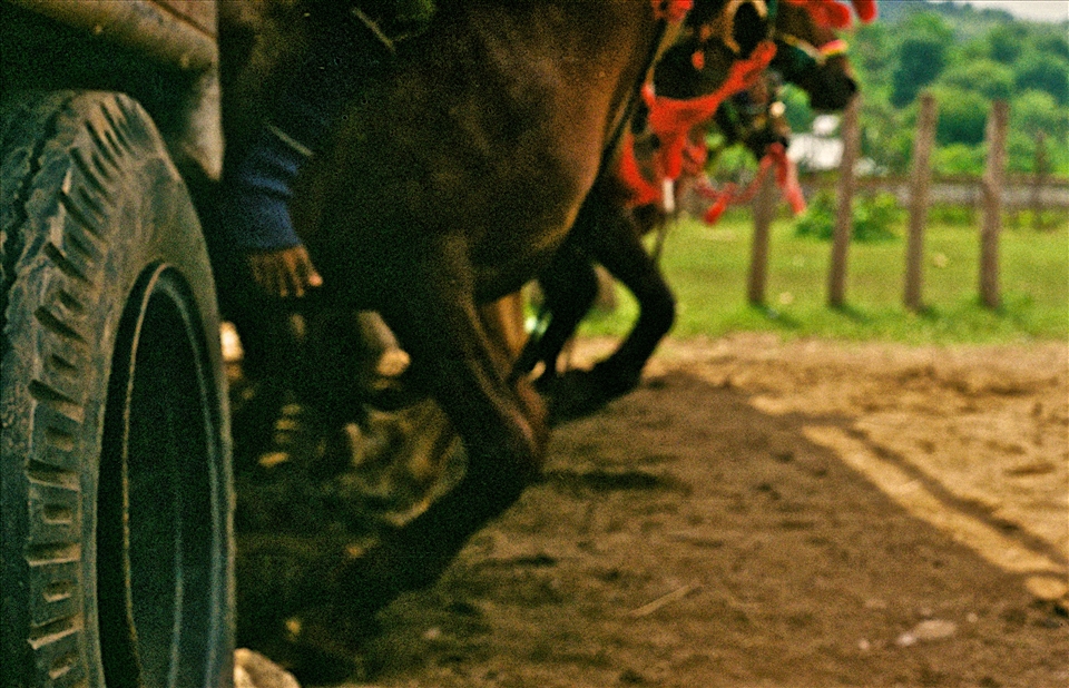 Rain or sun the horses today shall run; 
bareback riding, some jockeys fall, stronger ones hold on and the lucky ones make it first to the finish line.