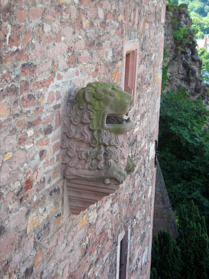 A moss-covered lion protects the Fortress in Heidelberg, Germany.
