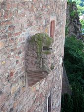 A moss-covered lion protects the Fortress in Heidelberg, Germany.: by tacy, Views[441]