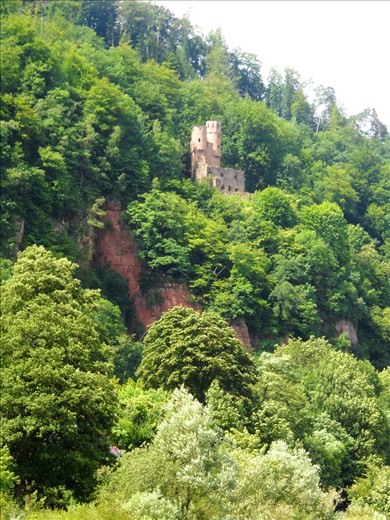 A watchtower nestled in foliage above the Neckar River, near Heidelberg, Germany.