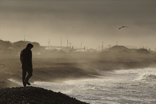 The true essence of nature is captured as a weary traveller wonders the beach of the Kiakoura coast. The peaceful bliss of the haze allows him the chance to reflect as the sun goes down. It gives a slight mystique to this image as we see brought to life the traveller and the bird. – Kiakoura, New Zealand