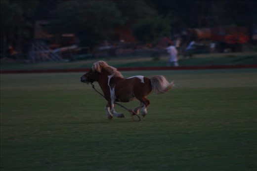 In the middle of busiest cities of Lahore, there lies a peaceful area