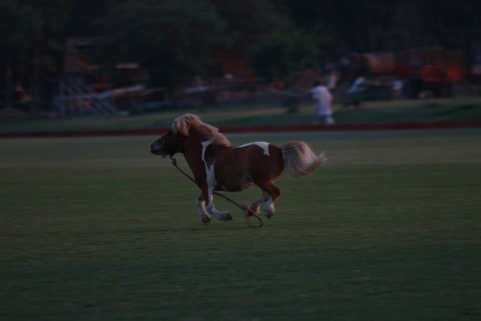 In the middle of busiest cities of Lahore, there lies a peaceful area