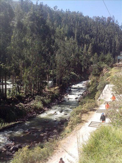 And when we arrived, they were building a new shelter, with eucaliptus wood.