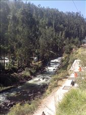 And when we arrived, they were building a new shelter, with eucaliptus wood.: by taitaapu, Views[403]