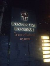 Banyan Tree: by talesofadventure, Views[178]