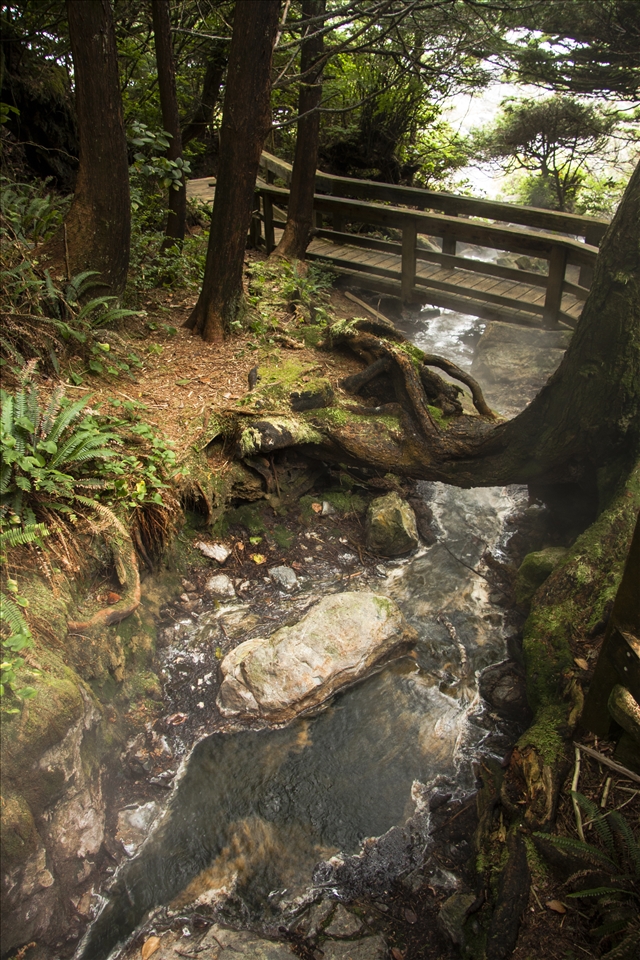 Hot springs on Vancover Island