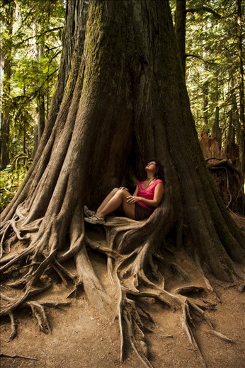 Humbled by the Catherdral Forest
