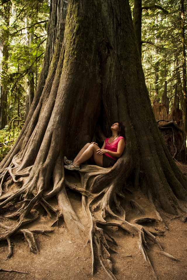Humbled by the Catherdral Forest