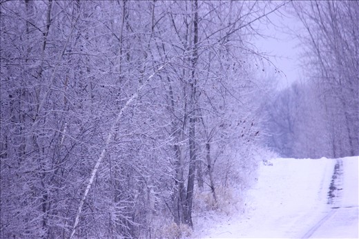 this journey started on a morning filled with snow! 