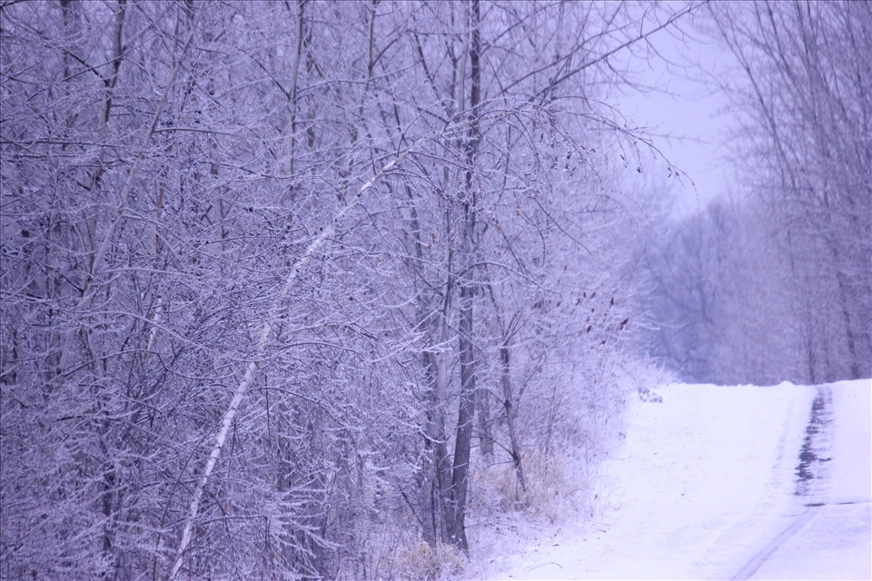 this journey started on a morning filled with snow! 