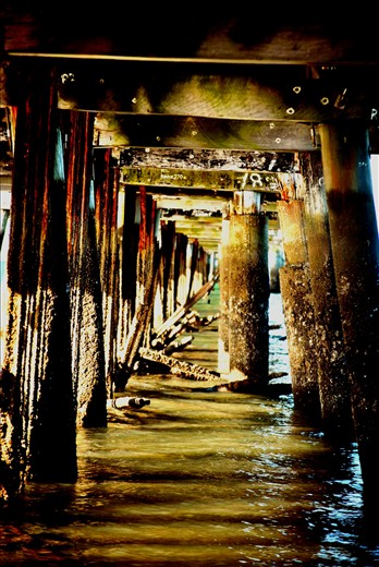 A different perspective of the Shorncliffe Pier, built in 1872 and is now closed