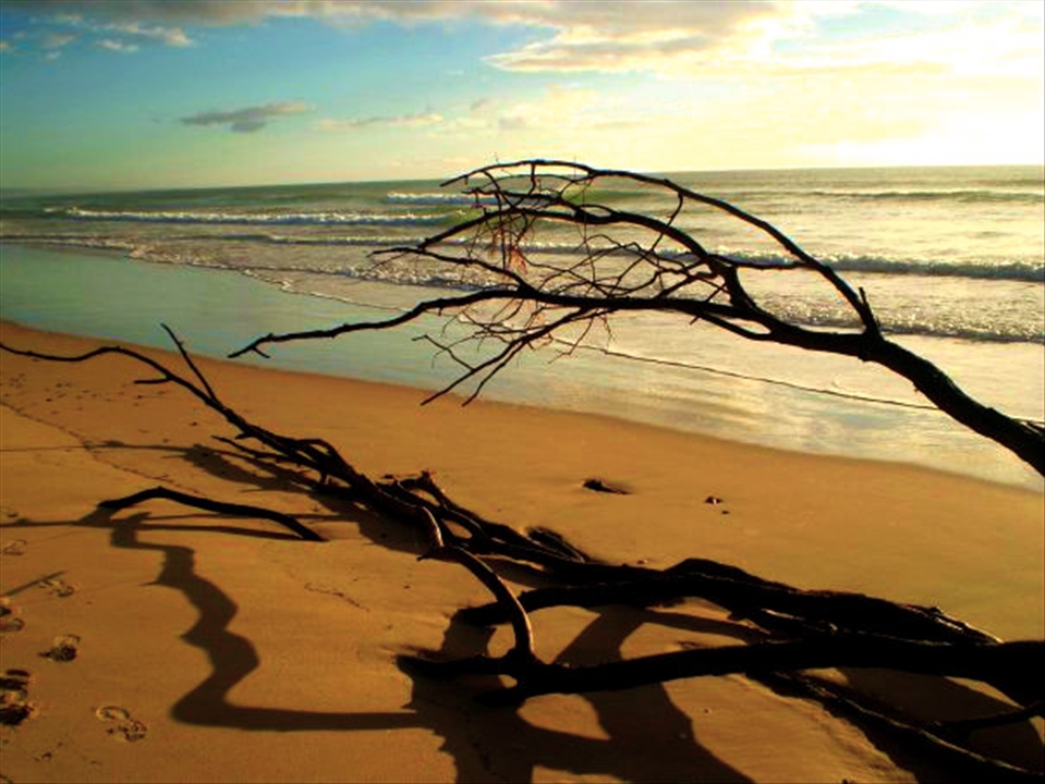Most beautiful beach i have been too, finding many things along the shore.