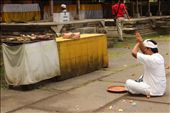 Galungan-feastday; the moment of Balinese to pray: by tamalas, Views[331]