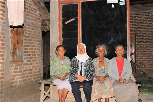 Great-grandma's princesses