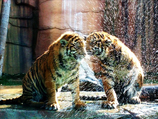 Daring to be Different