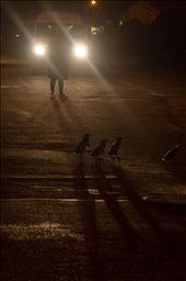 by taniags, Views[206]