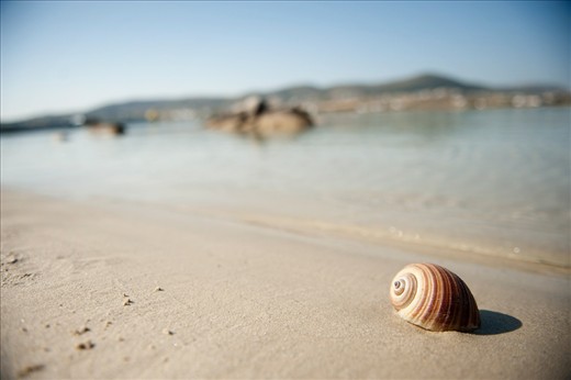Kolymbithres beach, Paros, Greece. Easter 2013
A big shell we found, when Konstantina placed it back she caught out. Then she wrote with blood our names.