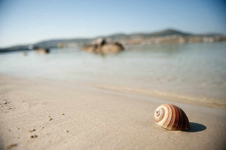 Kolymbithres beach, Paros, Greece. Easter 2013
A big shell we found, when Konstantina placed it back she caught out. Then she wrote with blood our names.