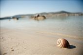 Kolymbithres beach, Paros, Greece. Easter 2013
A big shell we found, when Konstantina placed it back she caught out. Then she wrote with blood our names.: by tanias, Views[853]