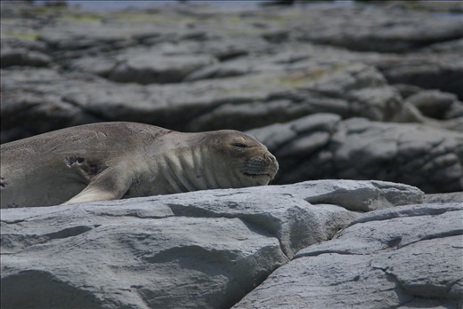Relxing in the sun, after a hard  day at sea