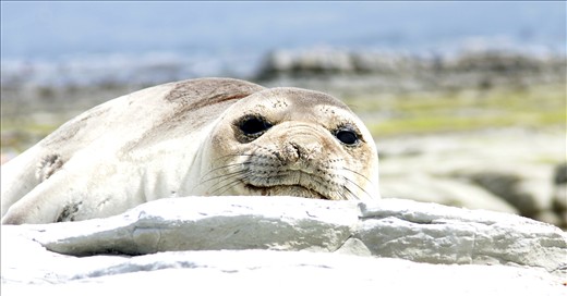 Looking in your sole