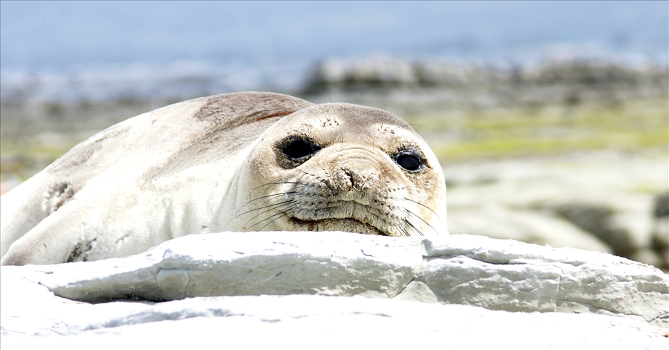 Looking in your sole