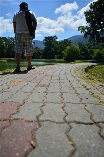 Move Along!
Go chase our dream, explore the unknown!There is an adventure waiting for you, the adventure that is unknown and mystery. Don't let anything drag your feet, and don't ever turn back to where you start,all you need to do is keep you strong and move along! 