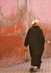 Returning home after picking up fresh bread: by tantse, Views[343]